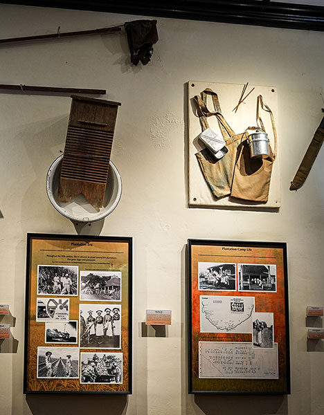 image of old tools used for farming in Lahaina from the 1800's.